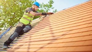 Best Roof Moss and Algae Removal  in Hasley Nyon, CA