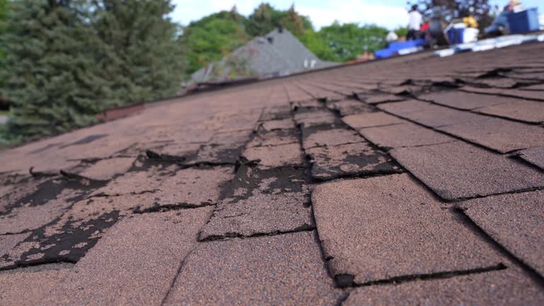 Best Roof Installation  in Hasley Nyon, CA