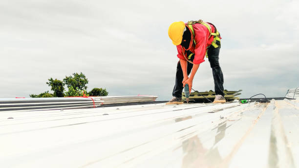 Best Green or Eco-Friendly Roofing Solutions  in Hasley Nyon, CA