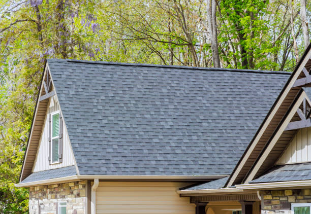 Best Roof Ventilation Installation  in Hasley Nyon, CA